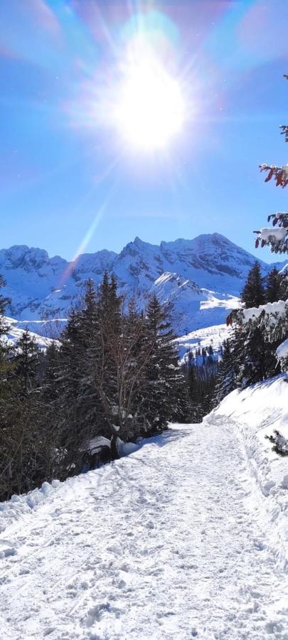 Hotel Boruta Zakopane Eksteriør billede